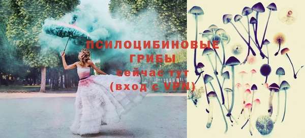 гидропоника Баксан