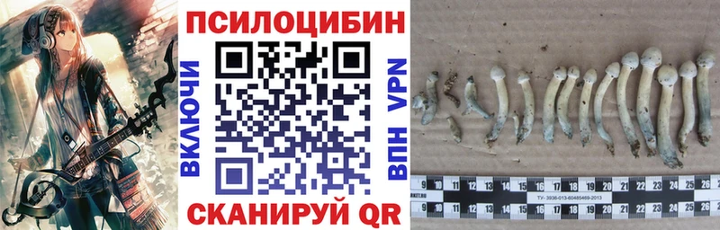 дарнет шоп  Суоярви  Псилоцибиновые грибы мухоморы 